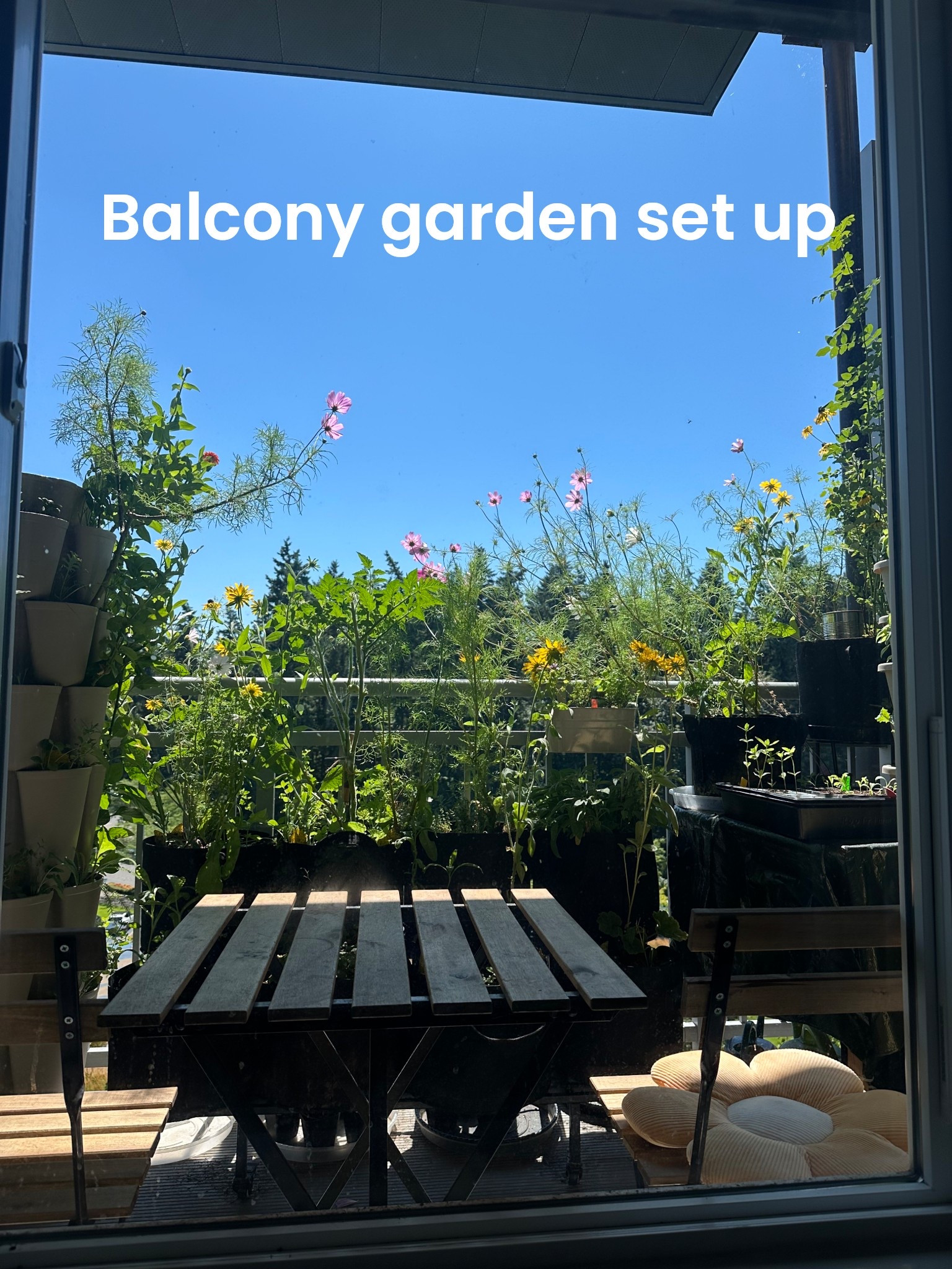 Everything I use in my balcony garden set up 

#LTKHome