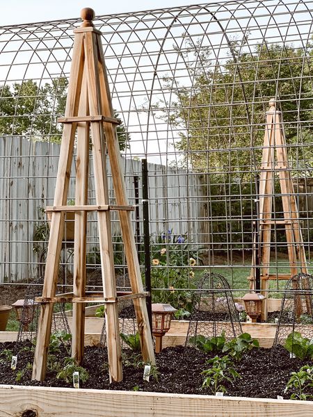 Small gardening ideas! 🫶🏼

#LTKSeasonal #LTKhome #LTKFind