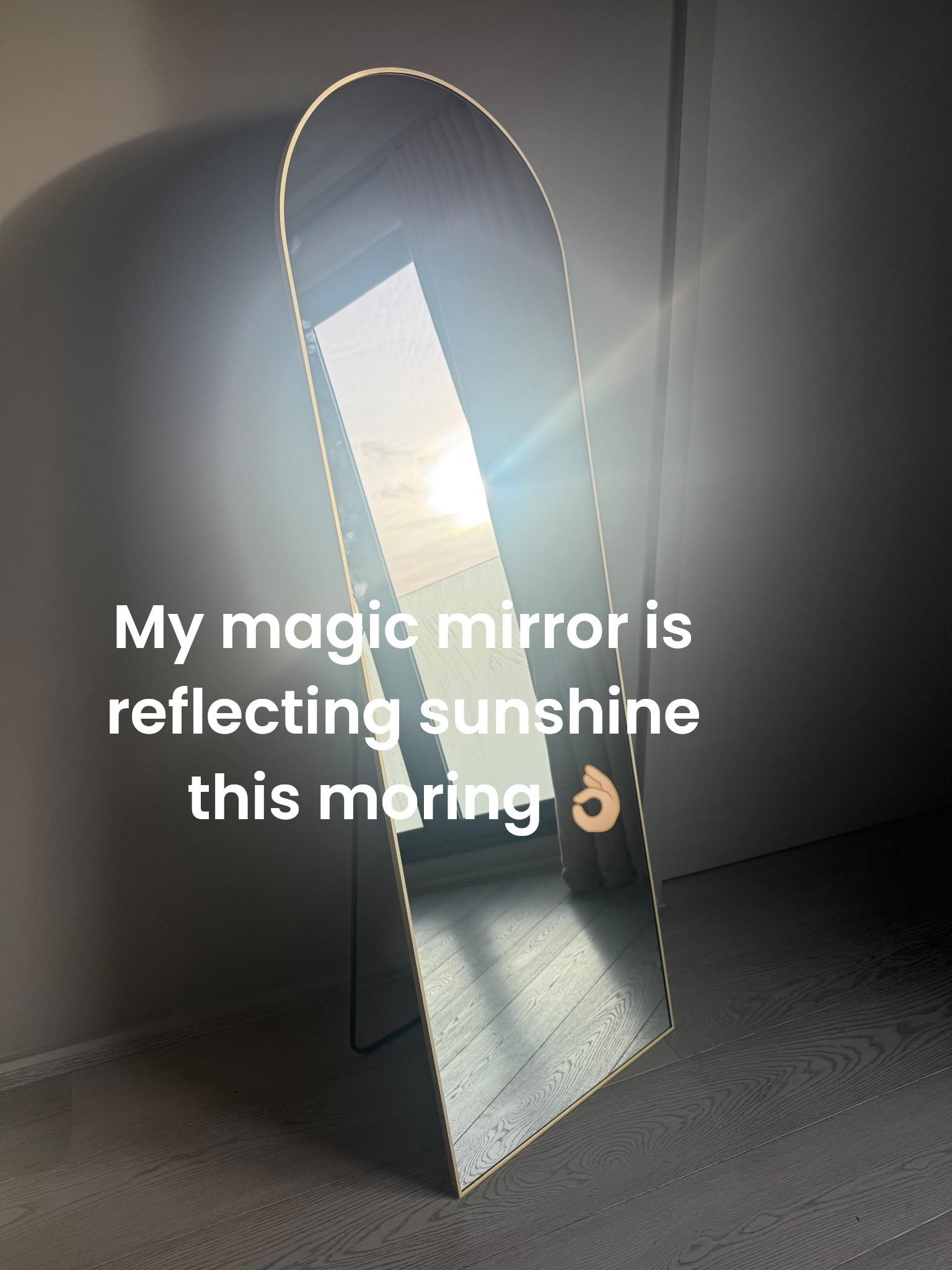 AD @Wayfair 

This is a GOOD mirror. And it’s only £48.99