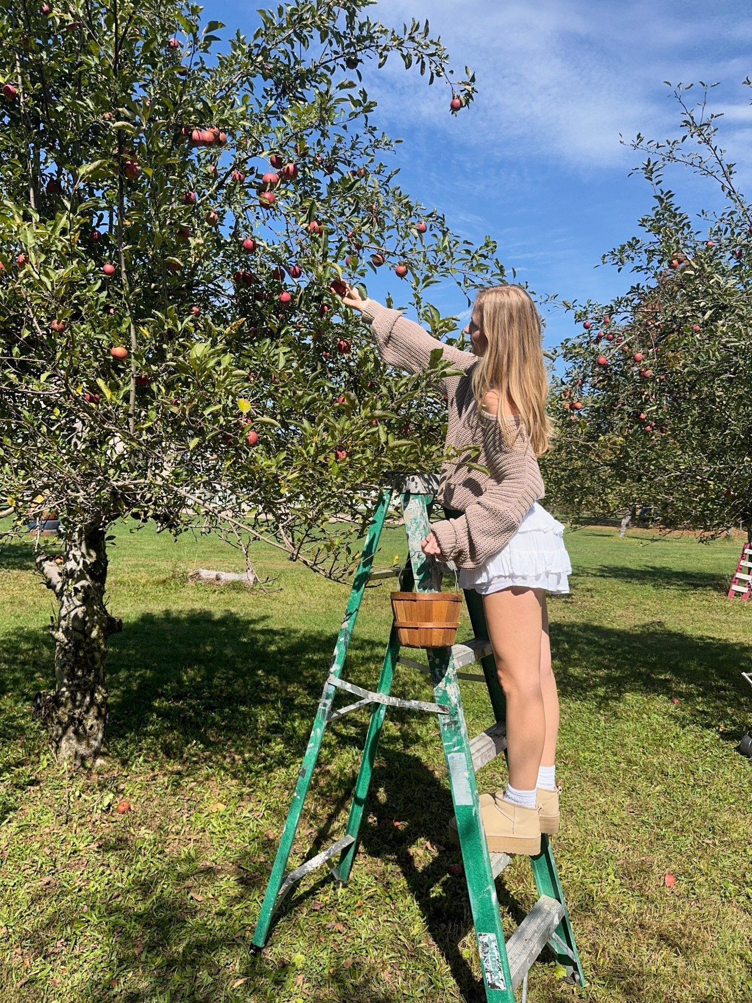 Apple picking ootd 🍎🍂🧸

#fallactivities #applepicking #fallootd

#LTKStyleTip #LTKSeasonal #LTKHome
