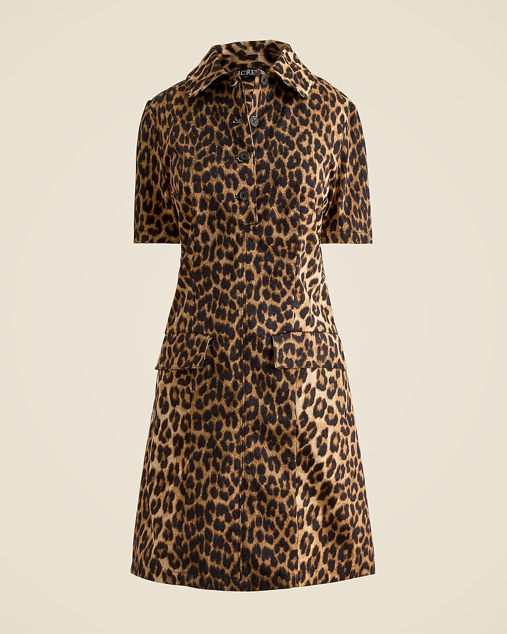 Parc dress in leopard print | J. Crew US