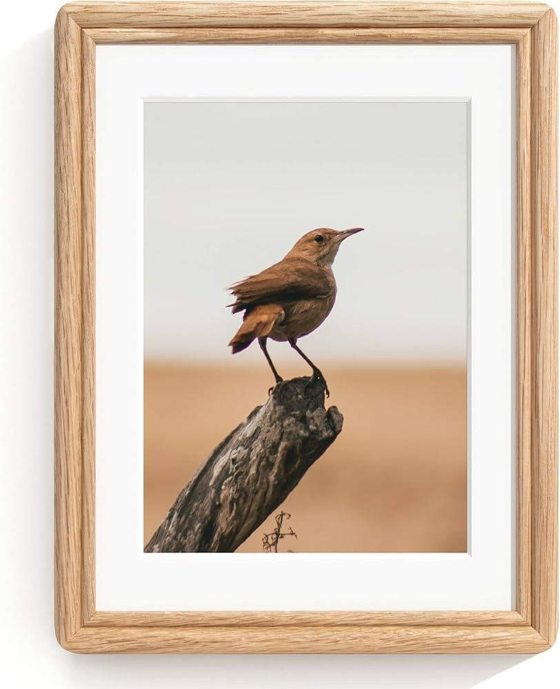 6x8 Picture Frame, Natural Solid Oak Wood Picture Frame with High Tempered Glass, Handcrafted Rou... | Amazon (US)