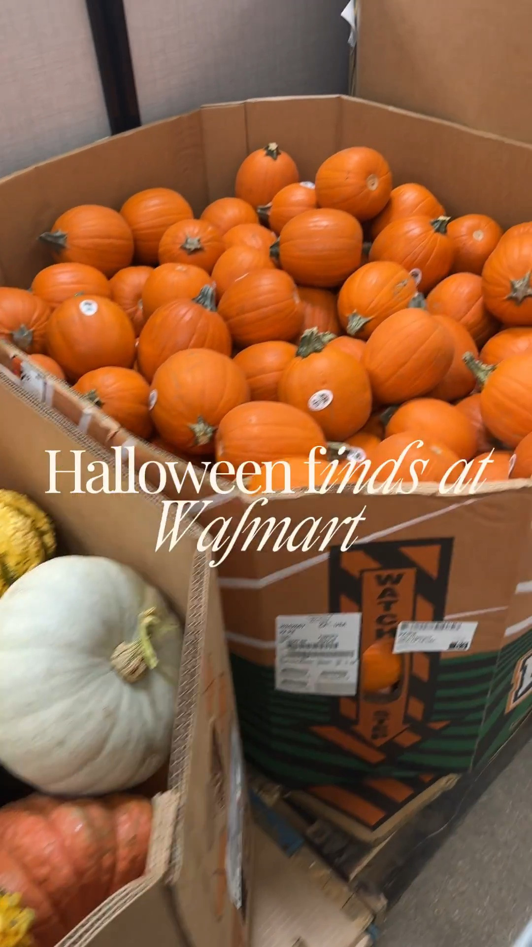 Halloween home decor finds @Walmart

#LTKSeasonal #LTKHome #LTKxWalmart