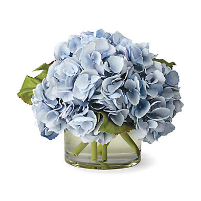 Hydrangea in Cylinder Light Blue | Frontgate | Frontgate