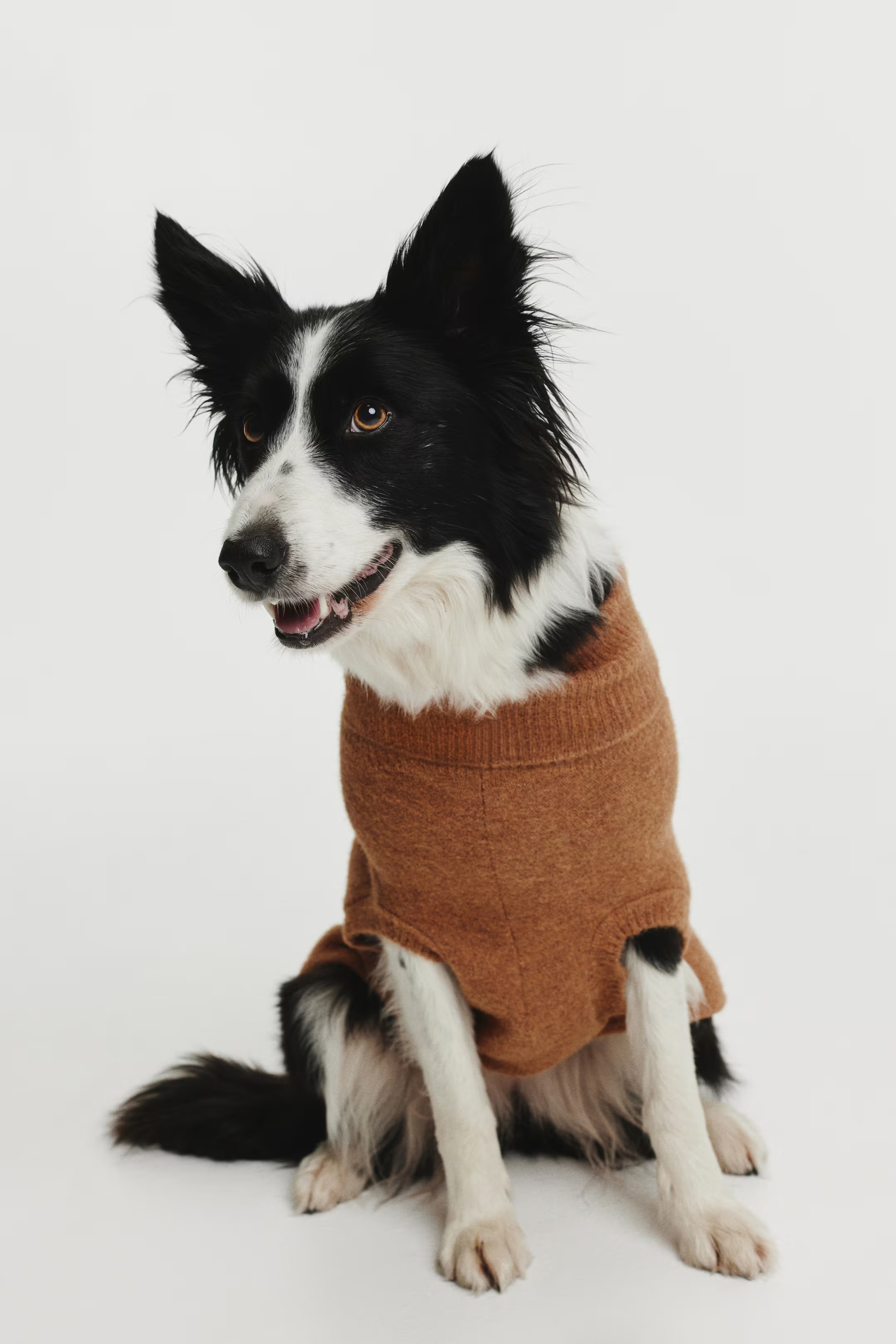 Fine-Knit Dog Sweater - Dark beige melange - Ladies | H&M US | H&M (US + CA)