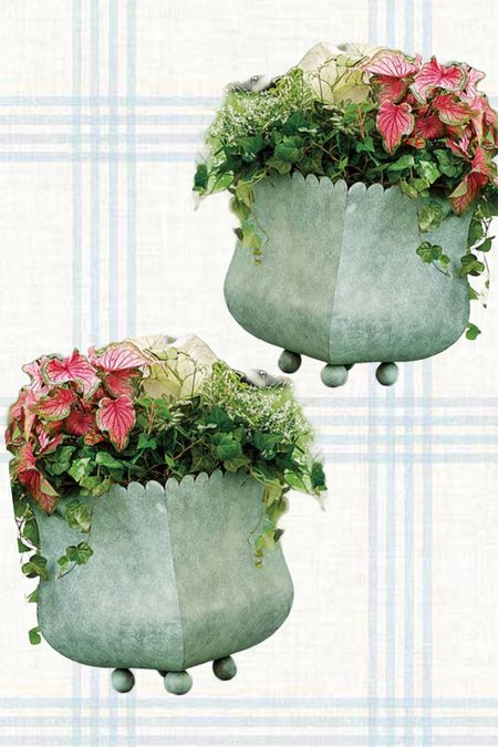 Outdoor Scallop Planter

#LTKhome #LTKSeasonal