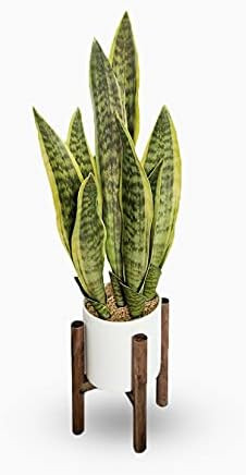 GreenBoxx Artificial Snake Plant Pot, 27" Portable Faux Potted Air-Purifying Indoor Plant for Home D | Amazon (US)