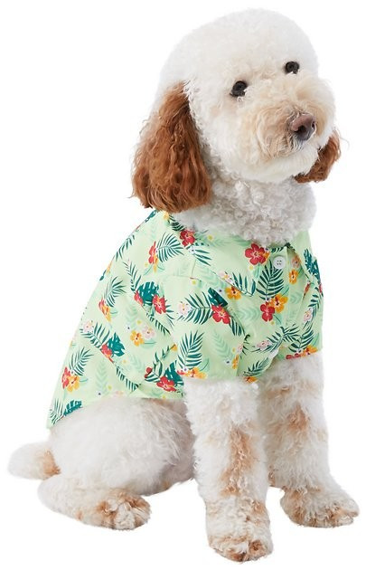 FRISCO Hawaiian Floral Camp Dog & Cat Shirt, Small - Chewy.com | Chewy.com
