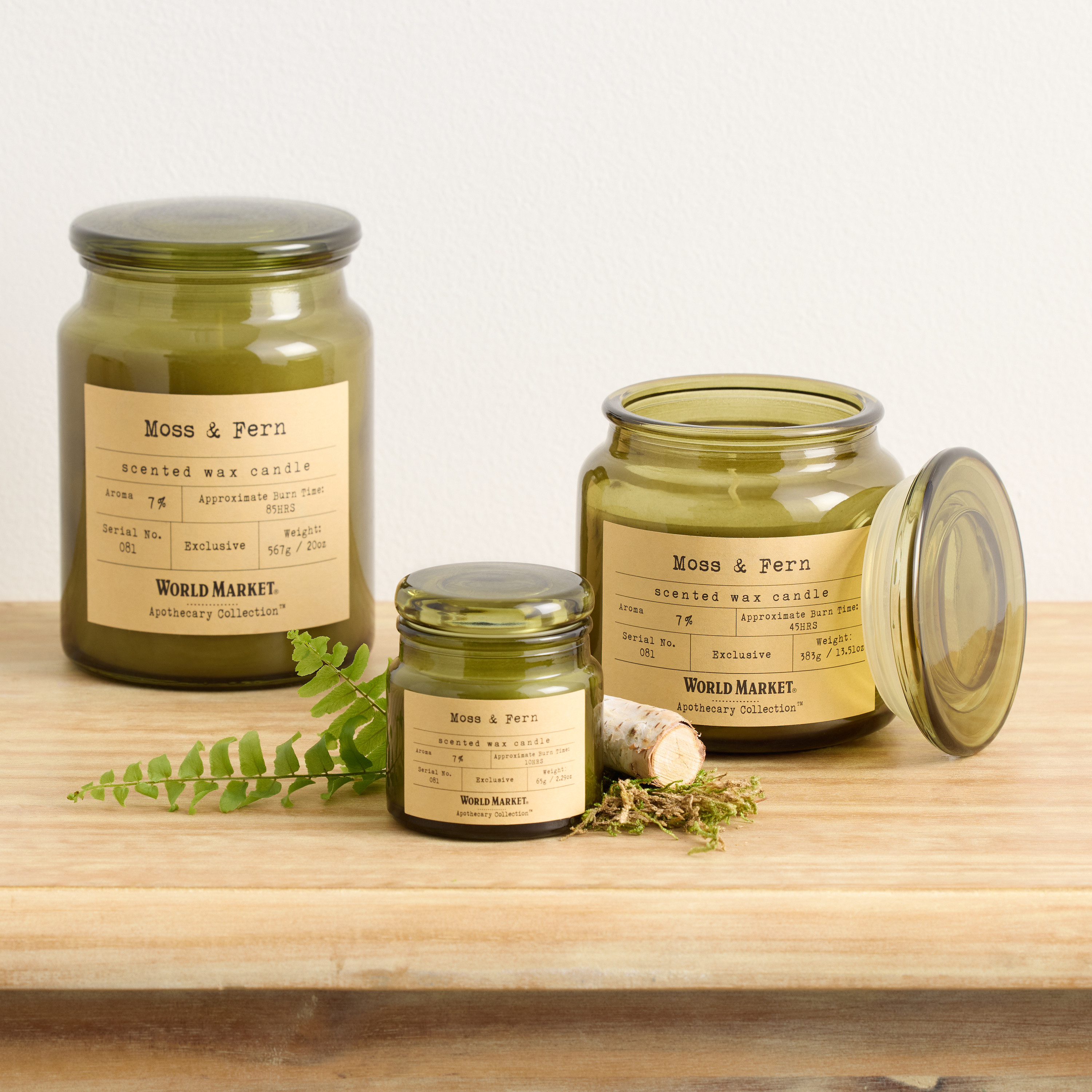 Apothecary Moss & Fern Scented Candle | World Market