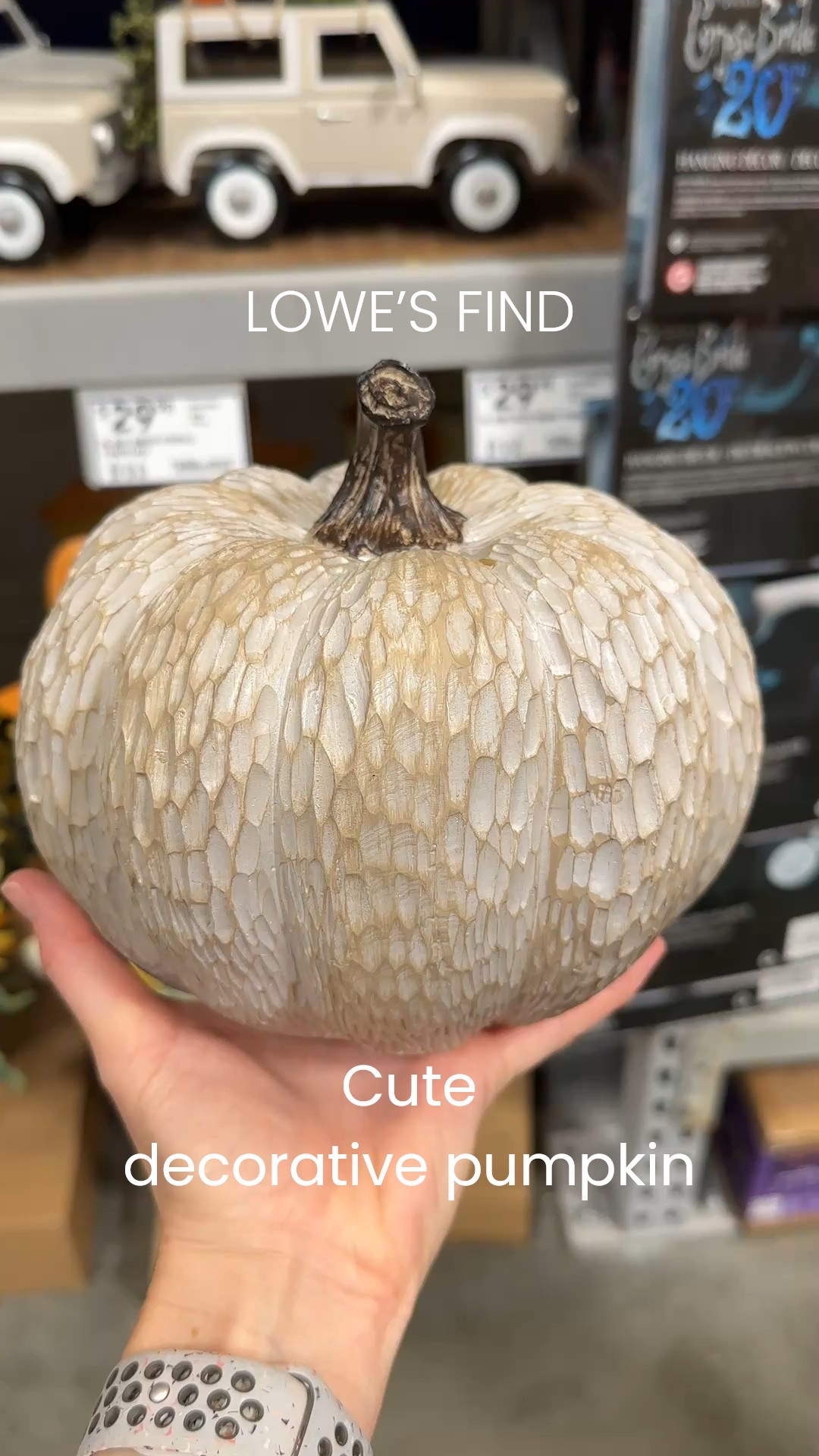 Fall finds at Lowe’s!

Cute decorative pumpkin under $20!

#LTKSeasonal #LTKHalloween #LTKHome