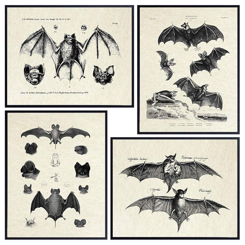 Bats Wall Decor - Vintage Retro Hipster Goth Art, Home or Room Decoration - Gift for Gothic, Horr... | Amazon (US)