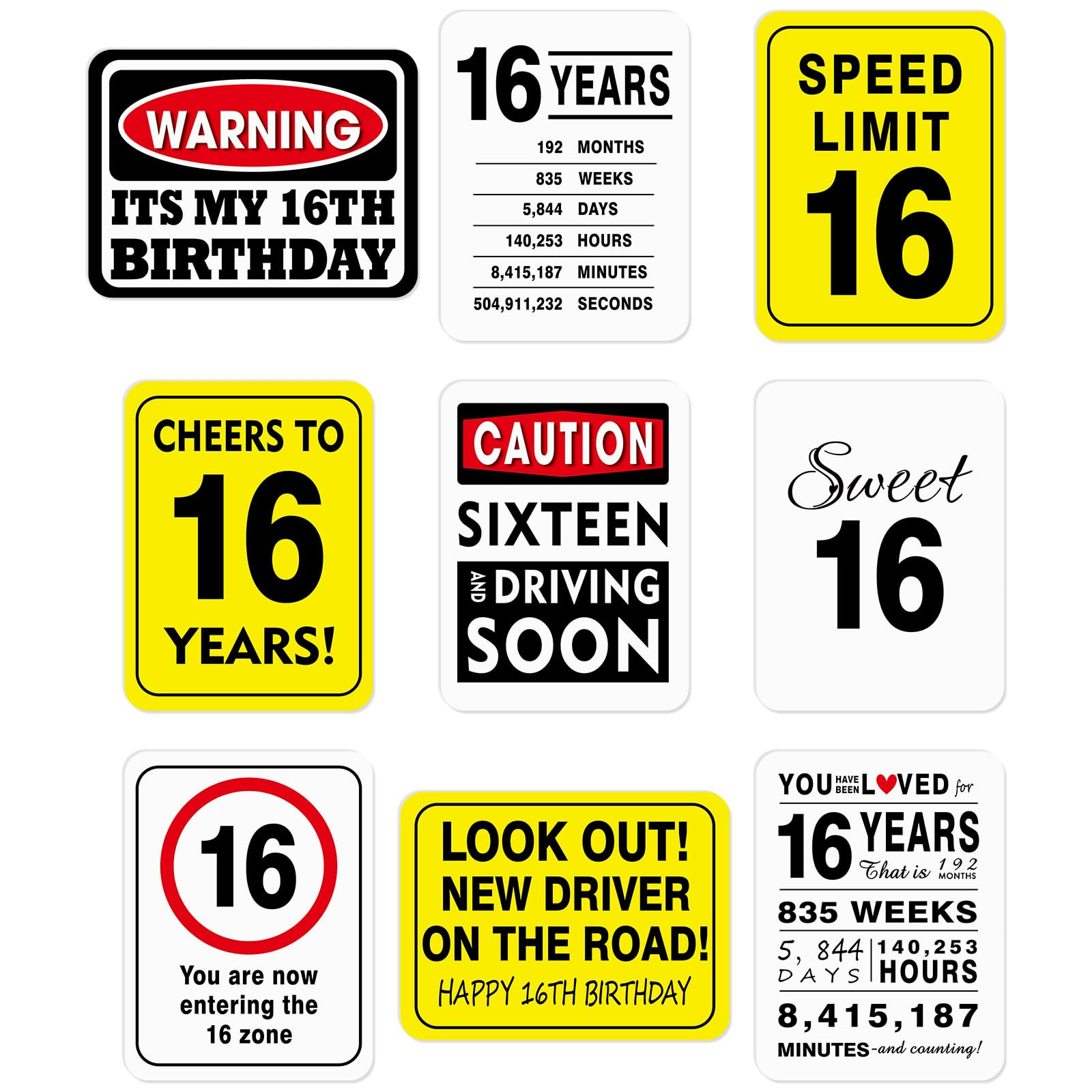 WERNNSAI 16th Birthday Party Decorations - 9PCS Wall Signs Funny Tags for Teens 16 Years Old Part... | Amazon (US)