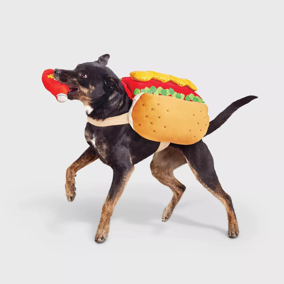 Hot Dog Full Body Halloween Dog and Cat Costume with Ketchup Toy - Boots & Barkley™ | Target