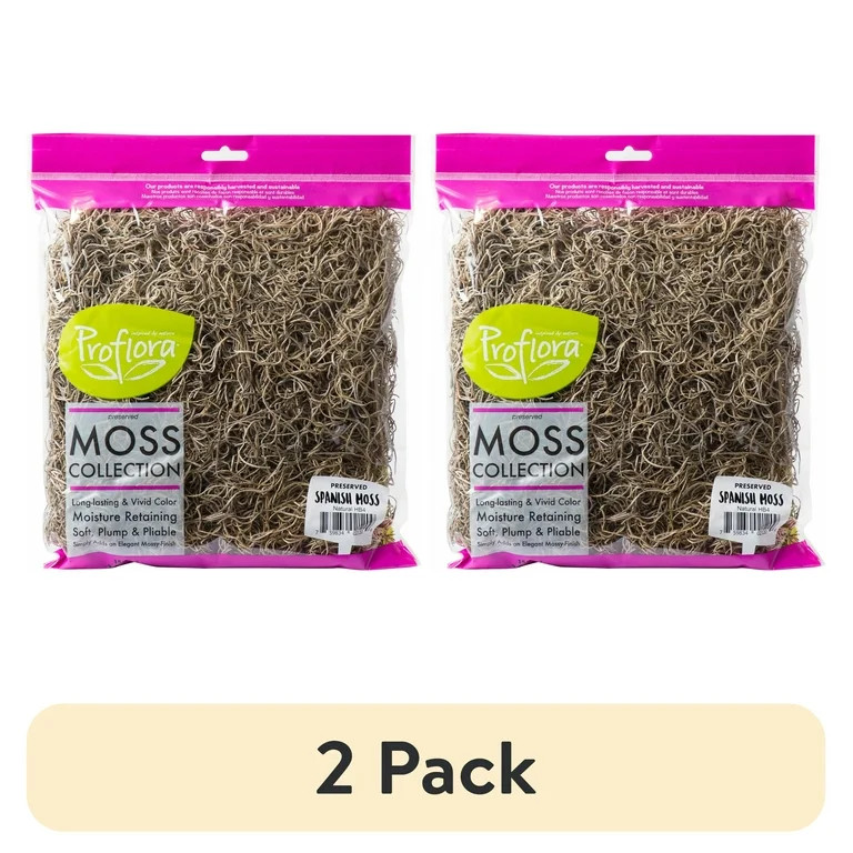 (2 pack) Spanish Natural Moss, 1 Each | Walmart (US)