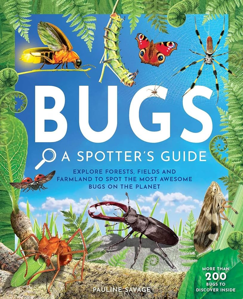 Bugs: A Spotter's Guide | Amazon (US)