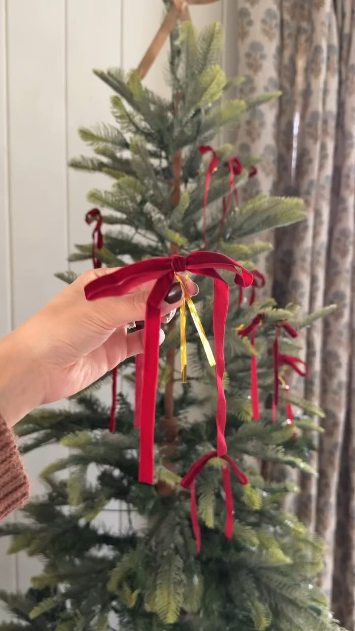 Pre-tied ribbons from Amazon! I love that they come with the twist tie on them. They have a lot of pretty colors too! I got red and tan. #christmasfind #amazonfind #christmas2024

#LTKHome #LTKHoliday #LTKSeasonal