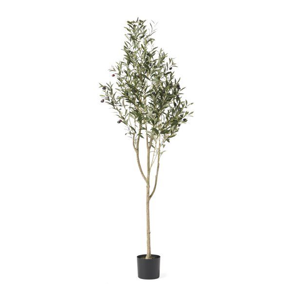 Atoka 6' x 2' Artificial Olive Tree, Green - Walmart.com | Walmart (US)