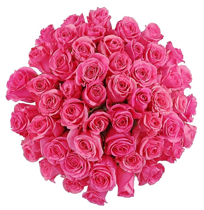 Benchmark Bouquets - 50 Stem Premium Pink Roses (2 Bundles of 25; Vase Not Included) - Fresh Flow... | Amazon (US)