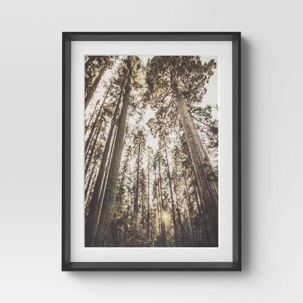 18" x 24" Yosemite Trees PS Framed Under Plexiglass Prints Black - Threshold™ | Target