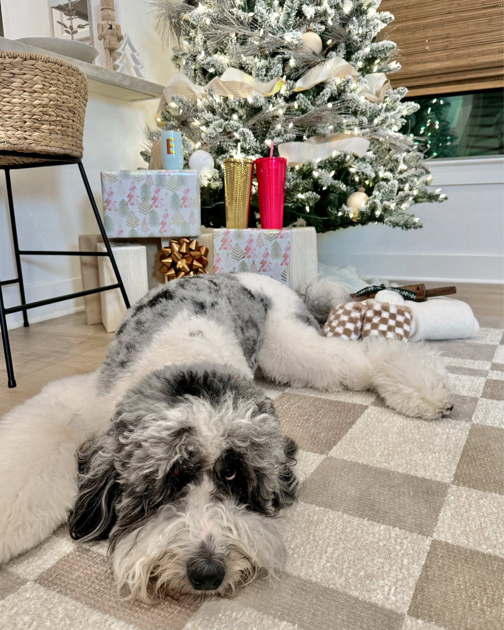 #ad @Target Gifts $15 & UNDER #targetpartner All Obi Approved! From $10 tumblers to the cutest $13 rolling pin! Shop all these gifts and more over on my shop LTK page @ Madison Payne @targetstyle #Targetstyle #target

#LTKGiftGuide #LTKSeasonal #LTKHoliday