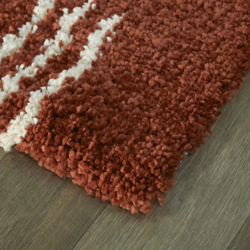 Dani Burnt Orange/Ivory Shag Area Rug | Wayfair North America