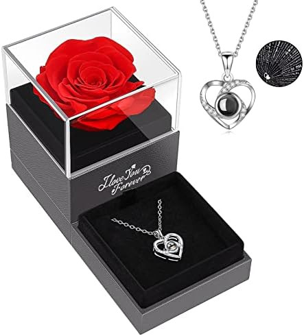 Preserved Red Real Rose with I Love You Necklace in 100 Languages -Eternal Flowers Rose Gifts for... | Amazon (US)
