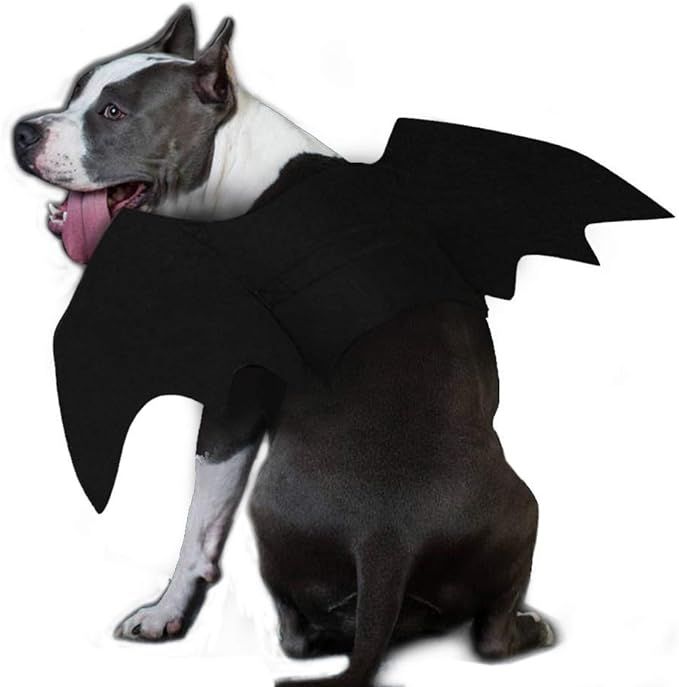 Ehdching Cat Costume Halloween Pet Bat Wings Cat Dog Bat Costume | Amazon (US)