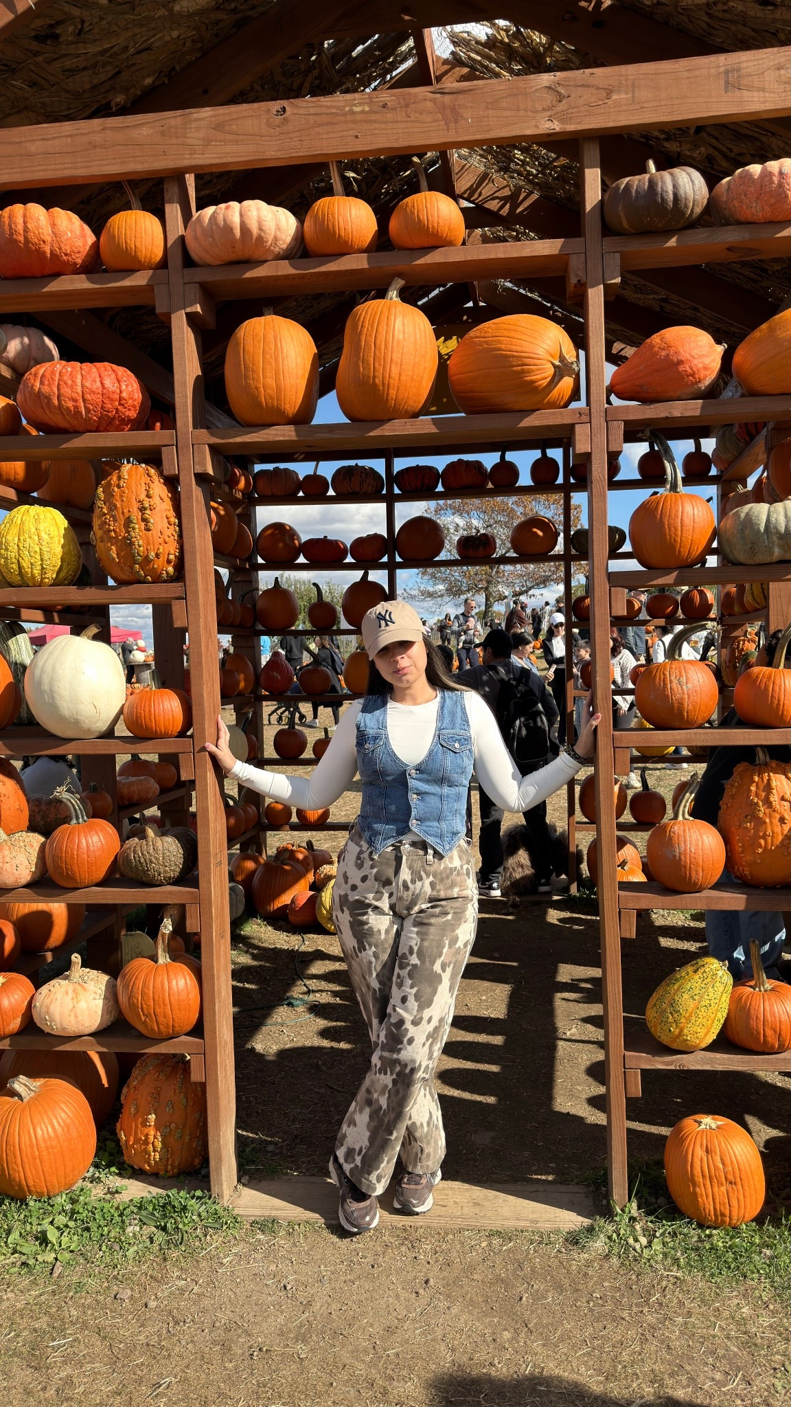 Hello, Pumpkin 🎃

#LTKStyleTip #LTKPetite #LTKSeasonal