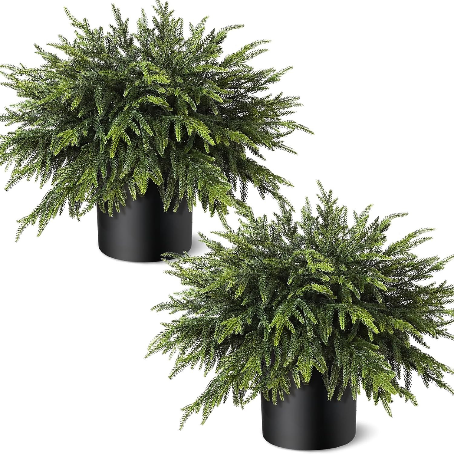2 Pcs Artificial Christmas Norfolk Pine Topiary Trees for Front Porch Decor | Amazon (US)