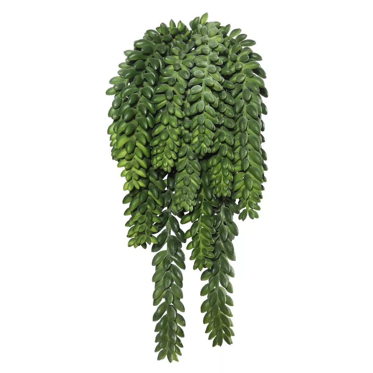 13" Artificial Donkey's Tail Bush - Vickerman: Indoor/Outdoor Decorative Faux Greenery | Target