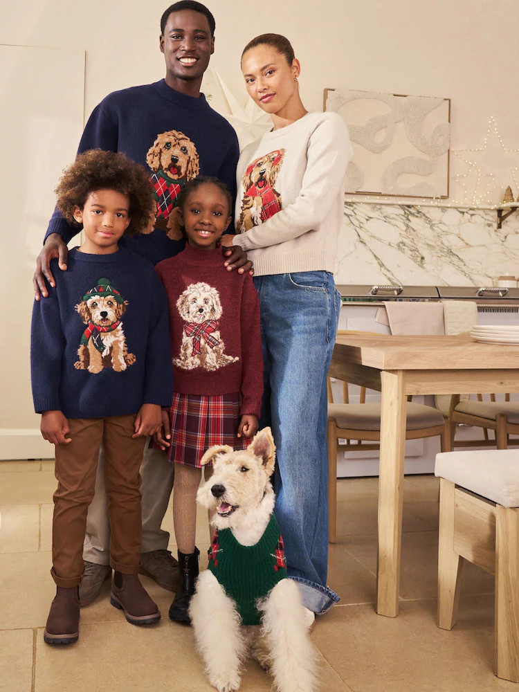 Green/Red Argyle Knitted Dog Jumper | Next EU