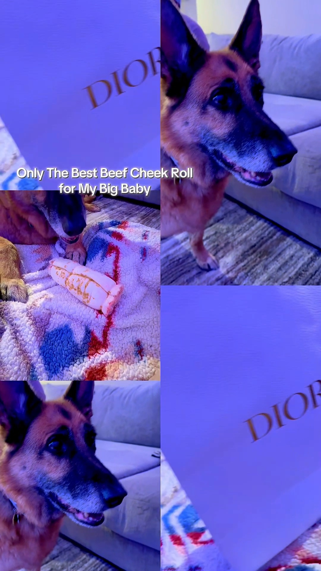 Watch my bestest big boy open his Christmas present. Only the best for my big baby! 

#LTKFindsUnder50 #LTKSeasonal #LTKGiftGuide