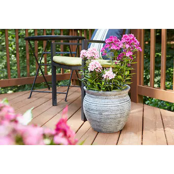 allen + roth 16-in W x 13.9-in H Whitewash Black Terracotta Mixed/Composite Traditional Indoor/Ou... | Lowe's