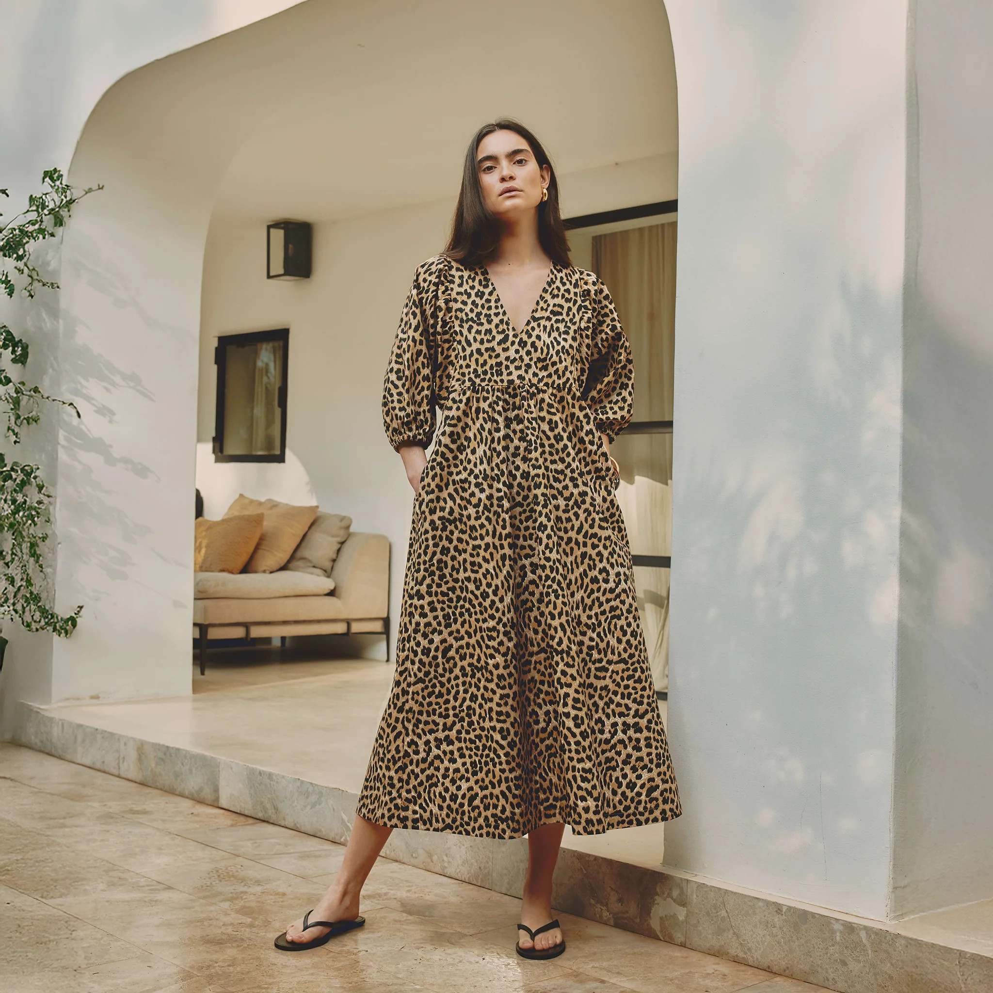 Iconic Animal V Neck Dress | Albaray