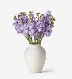 Amethyst Stock | FLOWERBX