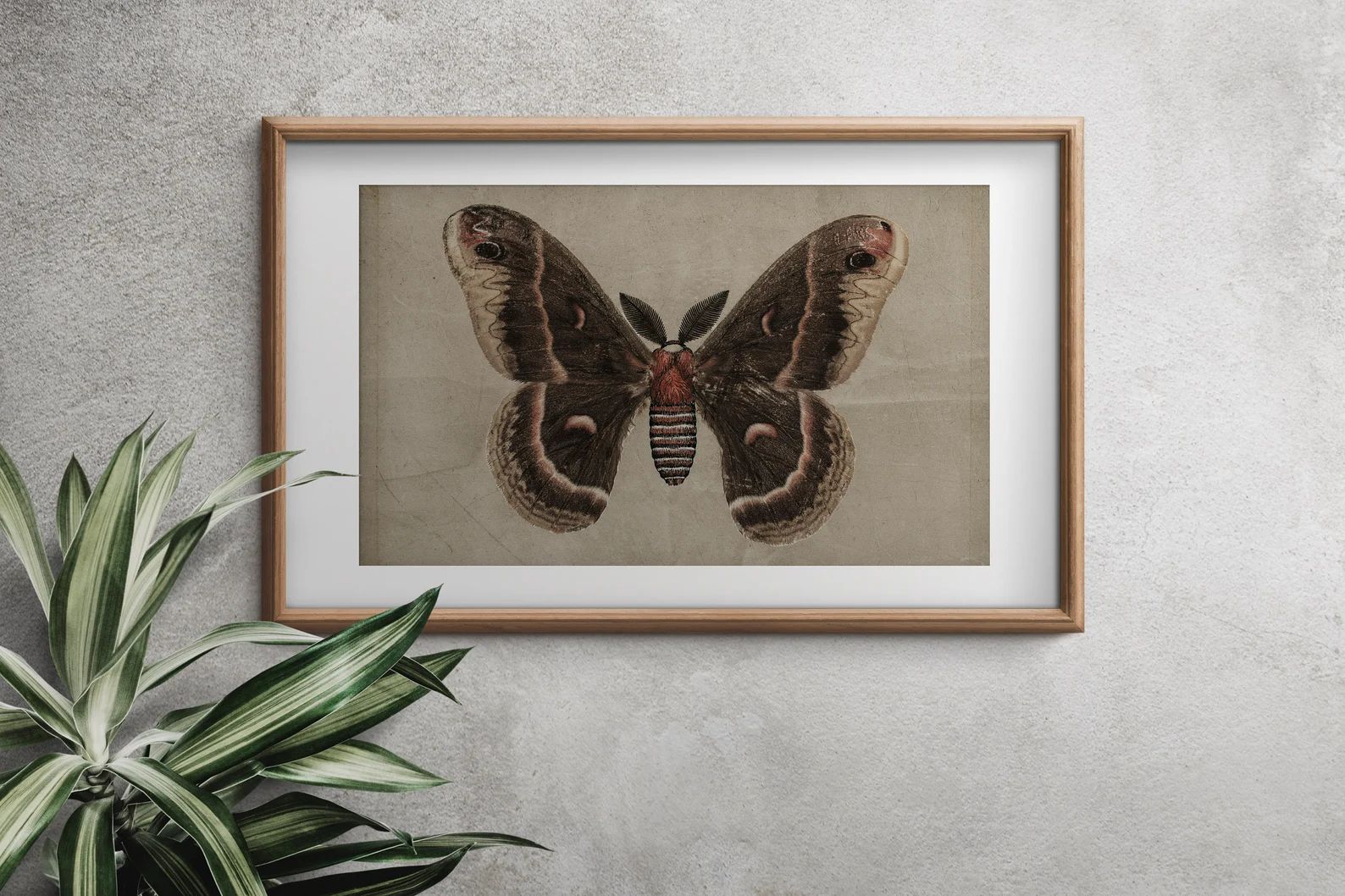 Vintage Neutral Butterfly Print | Dark Moody Insect Wall Art | Antique Butterfly Drawing PRINTABL... | Etsy (US)