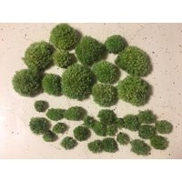 Cushion Moss - Pillow Pads Mix Of Teenies & Small Size For Terrariums Fairy Gardens Live Fresh | Etsy (US)