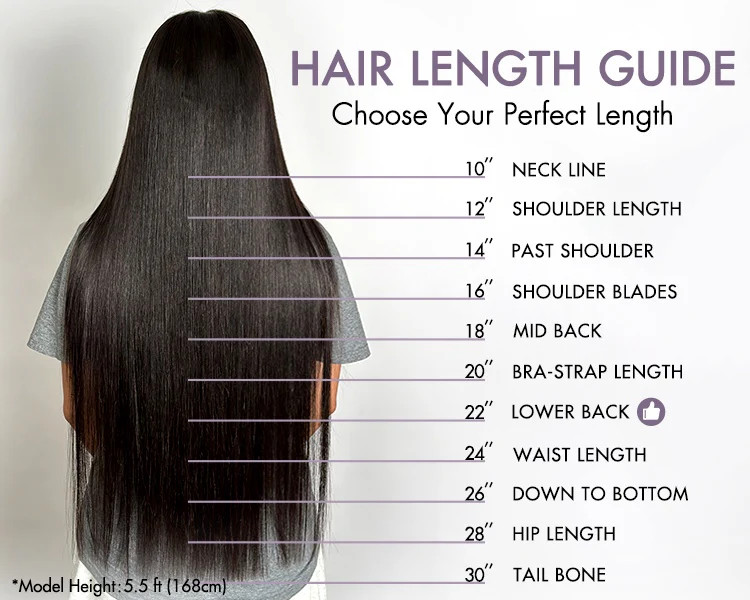 PreMax Wigs | Super Natural Hairline Silky Straight Glueless 13x4 Fron | Luvmehair