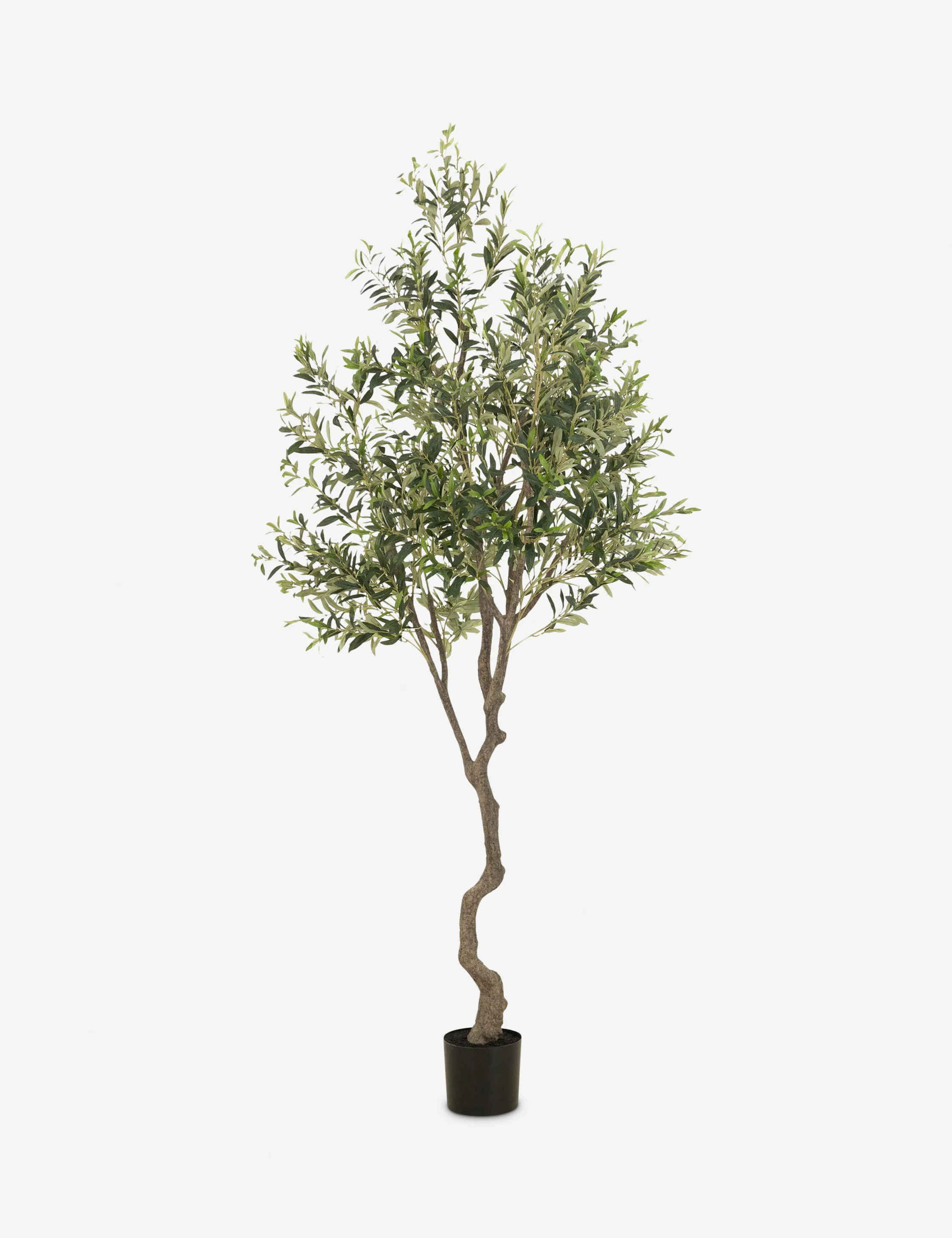 Faux Olive Tree, 8' Narrow | Lulu and Georgia 