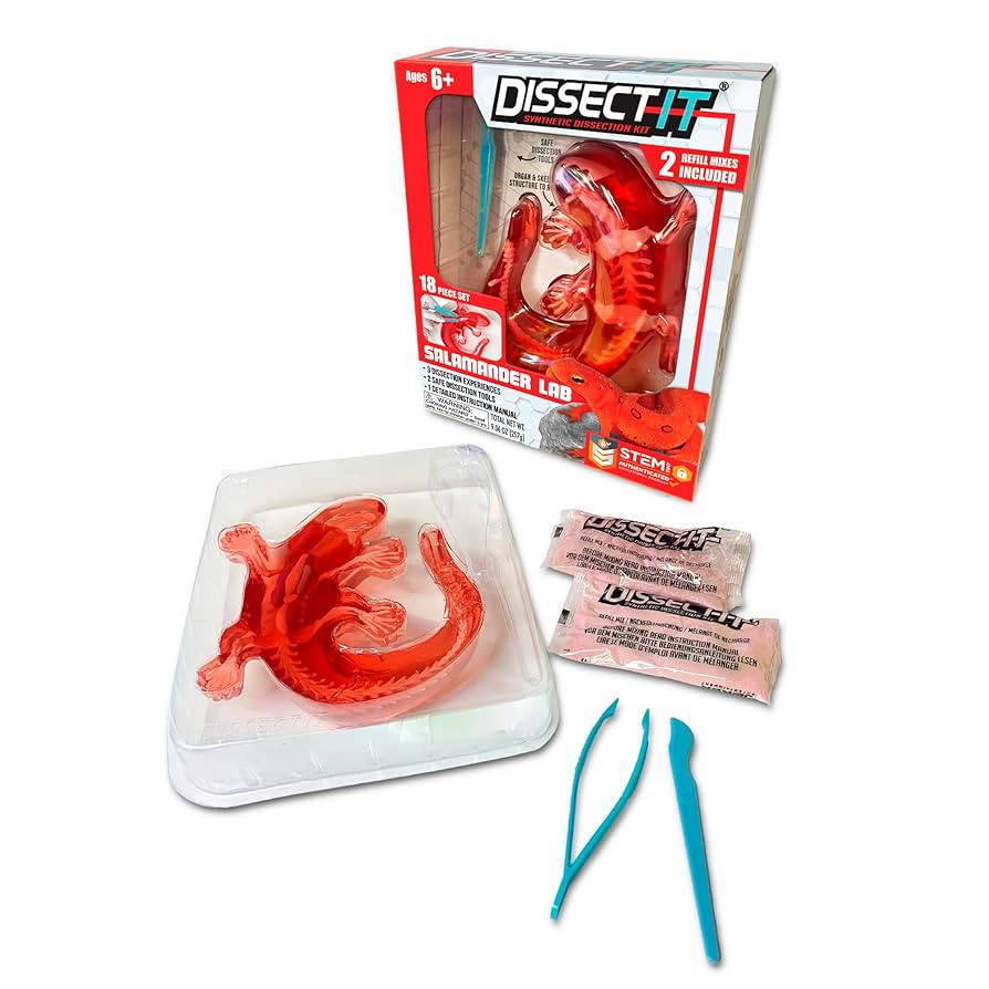 Dissect-It Kit for Kids, Simulated Synthetic Lab Dissection Toy, Salamander STEM Toys for Animal ... | Amazon (US)
