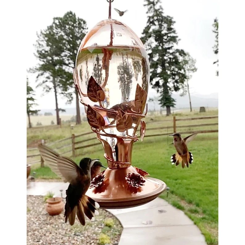 32 Oz Copper Hummingbird Feeder, Hand Blown Glass Bird Feeder, Copper Base Cover and 4 Flower Fee... | Etsy (US)