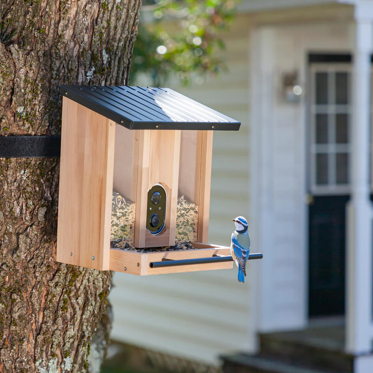 BirdsIVue Smart Feeder: Solar Wooden Bird Feeder | Plow & Hearth