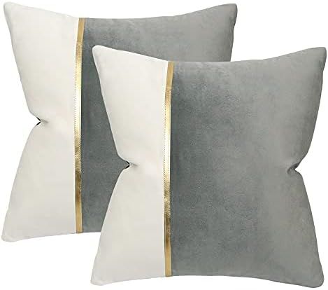 Hckot Set of 2 Gray and White Velet Decorative Throw Pillow Covers for Couch Living Room Bedroom ... | Amazon (US)