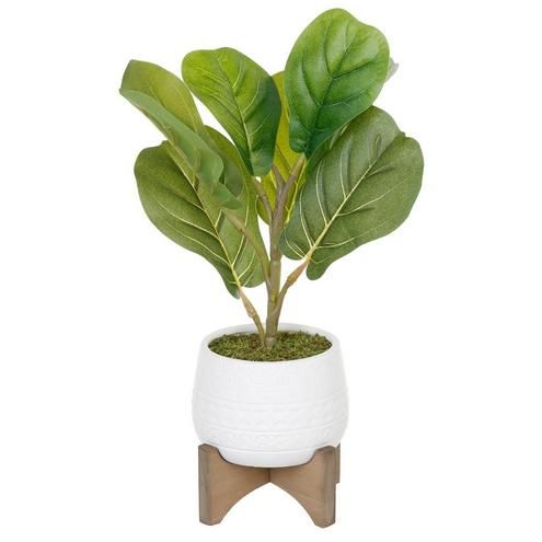 12" Potted Faux Fiddle Leaf Fern - White-White-7799361595410   | Burkes Outlet | bealls