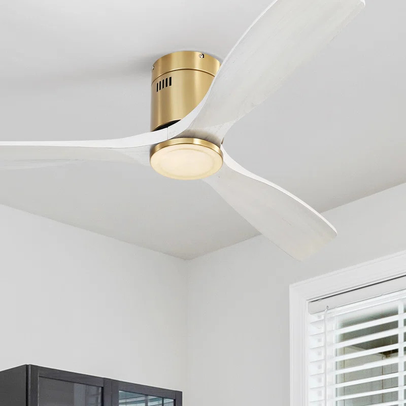 Nicola 52'' Ceiling Fan | Wayfair North America