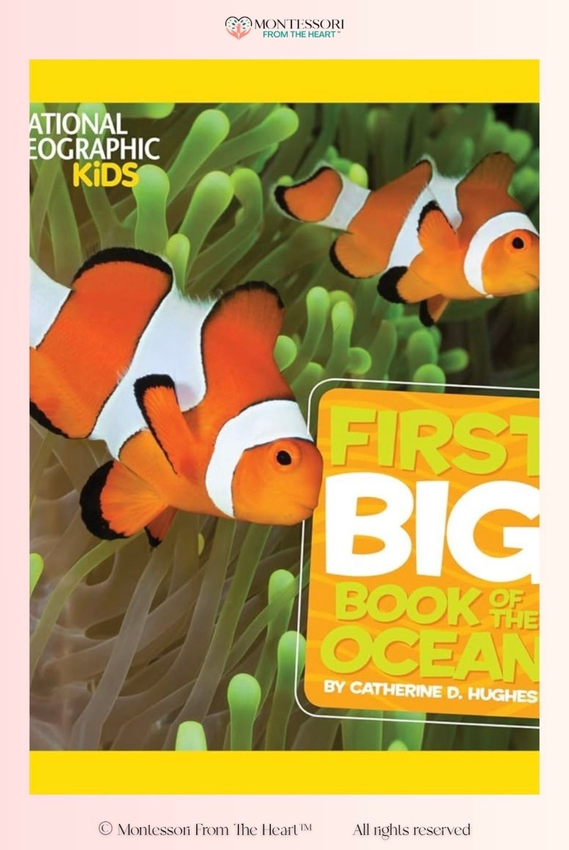 First Big Book of Ocean

#LTKsummer #LTKkids #LTKfamily