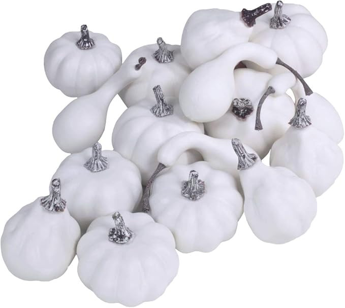 Package of 16 Mini Assorted Harvest White Artificial Pumpkin and Gourds Fall Wedding Thanksgiving... | Amazon (US)