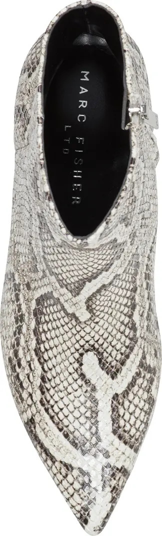 Itzia Pointed Toe Kitten Heel Bootie (Women) | Nordstrom