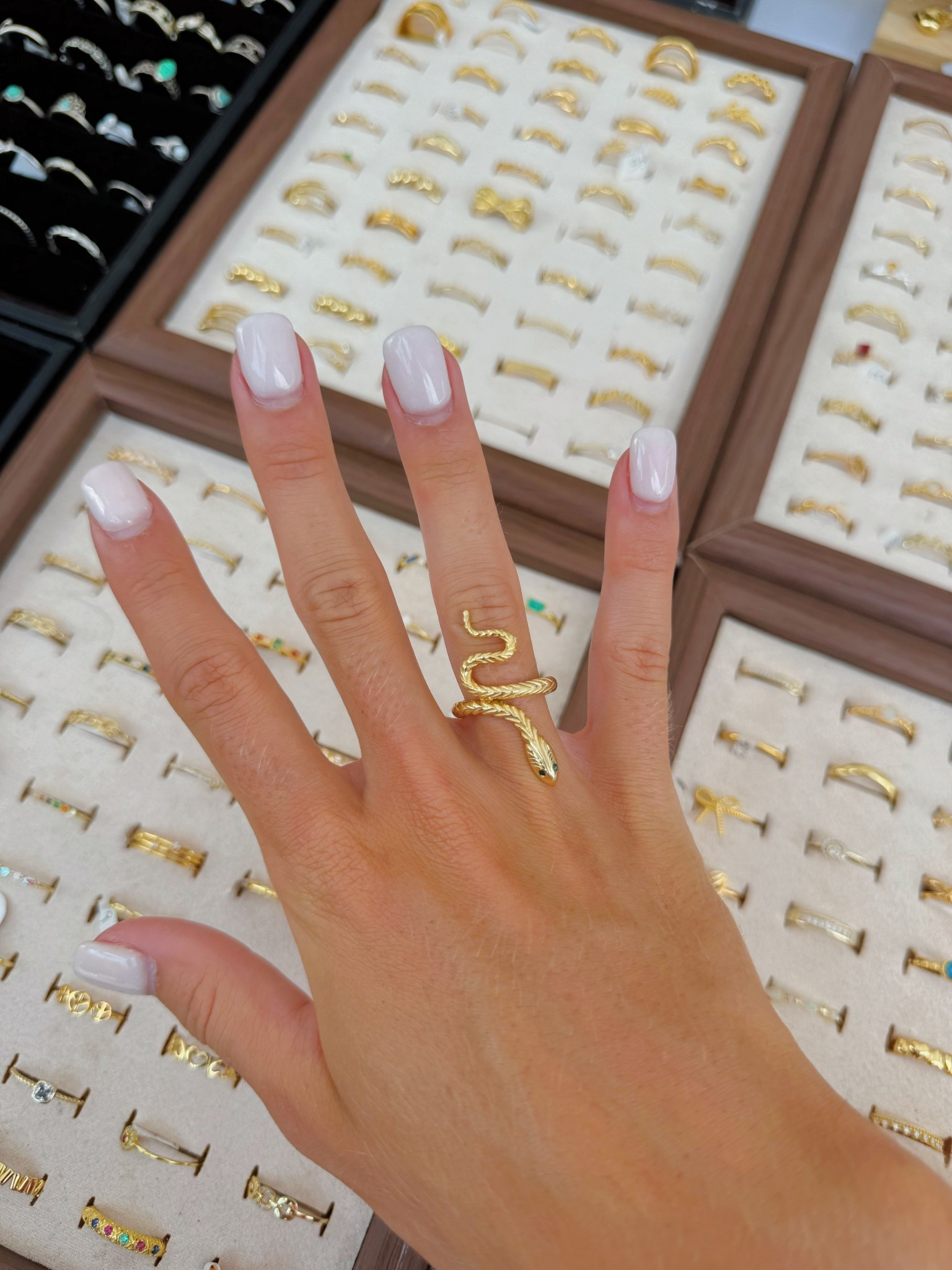 🐍💍