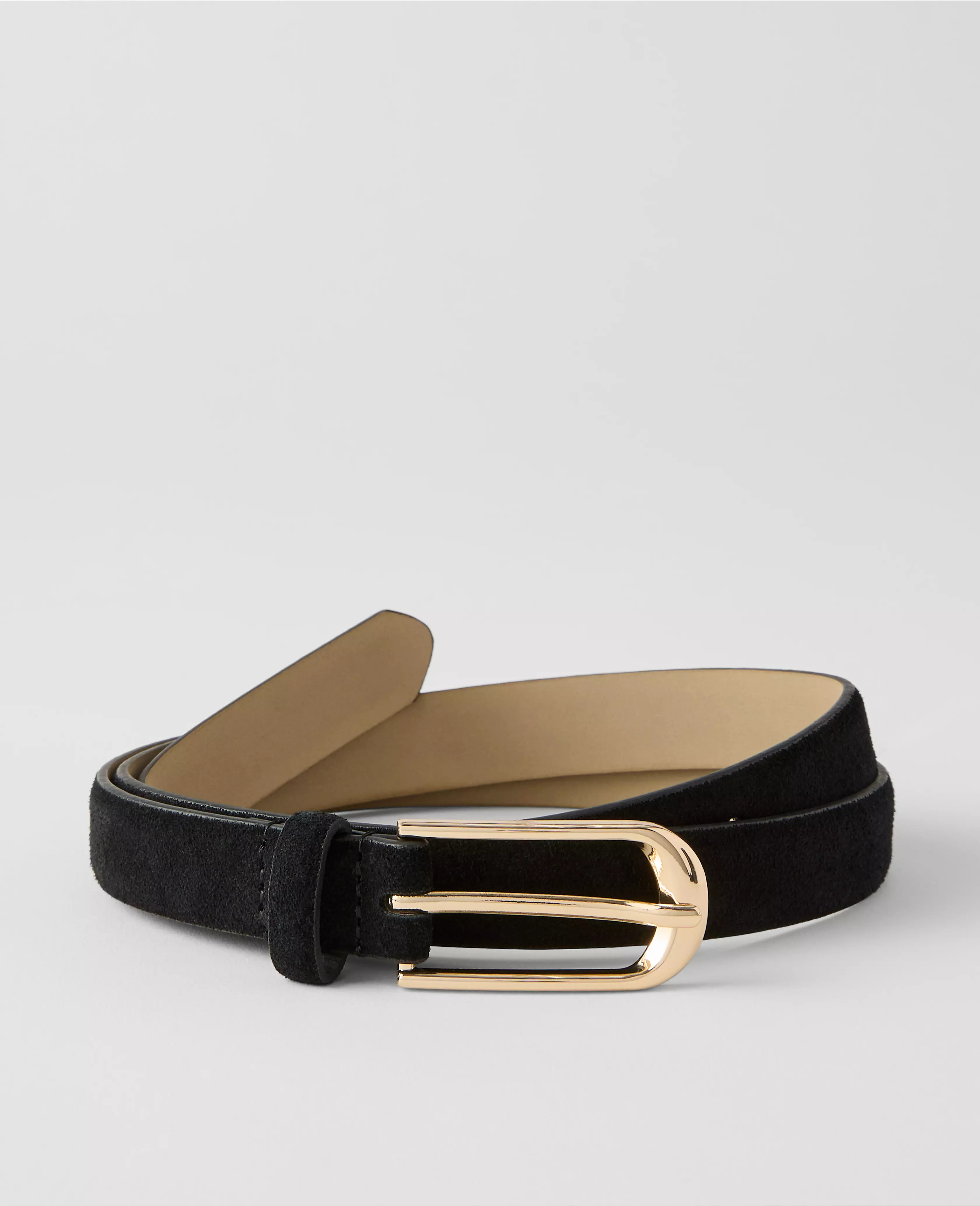 Suede Oval Buckle Belt | Ann Taylor